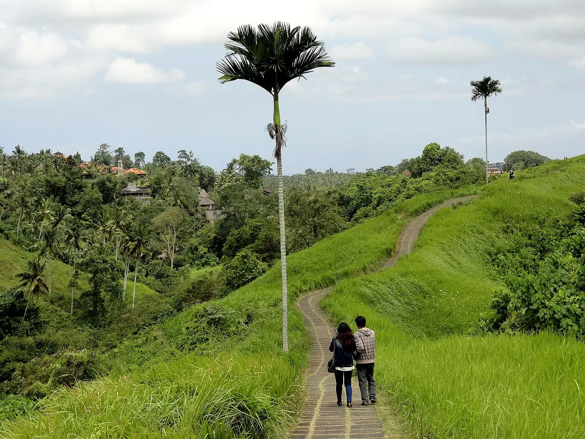 Campuhan Ridge Walk through green scenery near Ubud — Campuhan Ridge Walk near Ubud