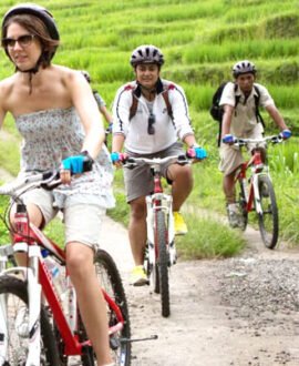 Cycling